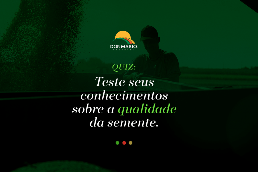 [QUIZ] Teste seus conhecimentos sobre a qualidade da semente