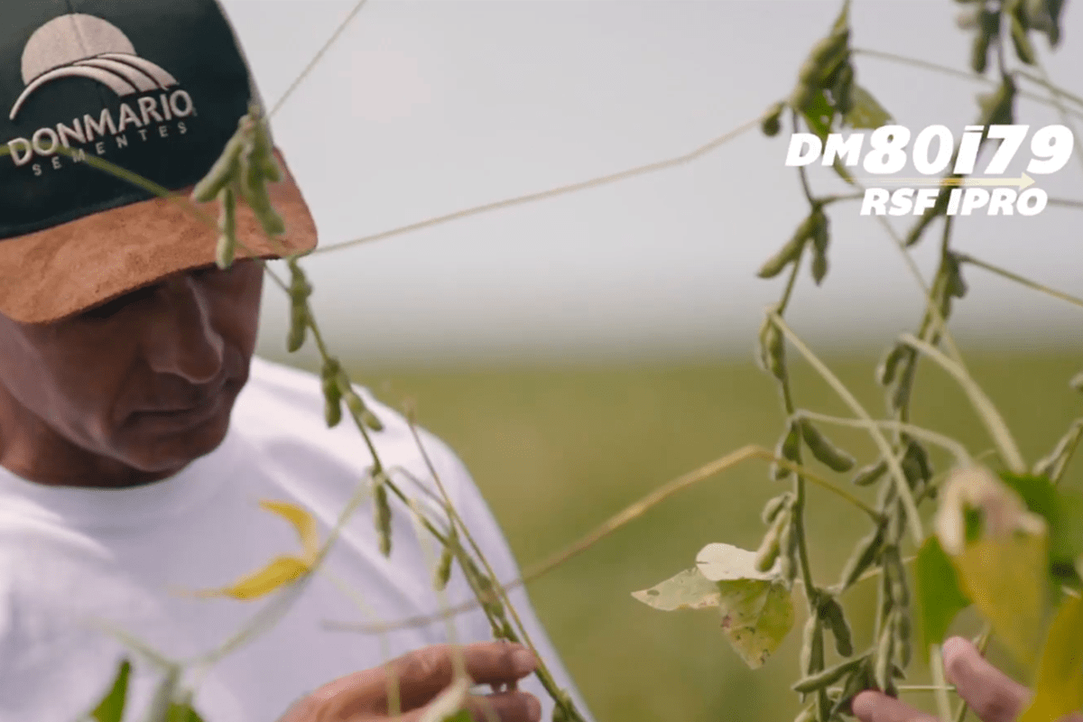 “Precocidade com produtividade é o que mais me agradou”, afirma agricultor do MT