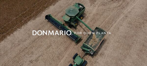 destaque-produtor-de-gois-destaca-cultivar-donmario-como-a-mais-produtiva-que-j-plantou cultivar DM68i69 IPRO