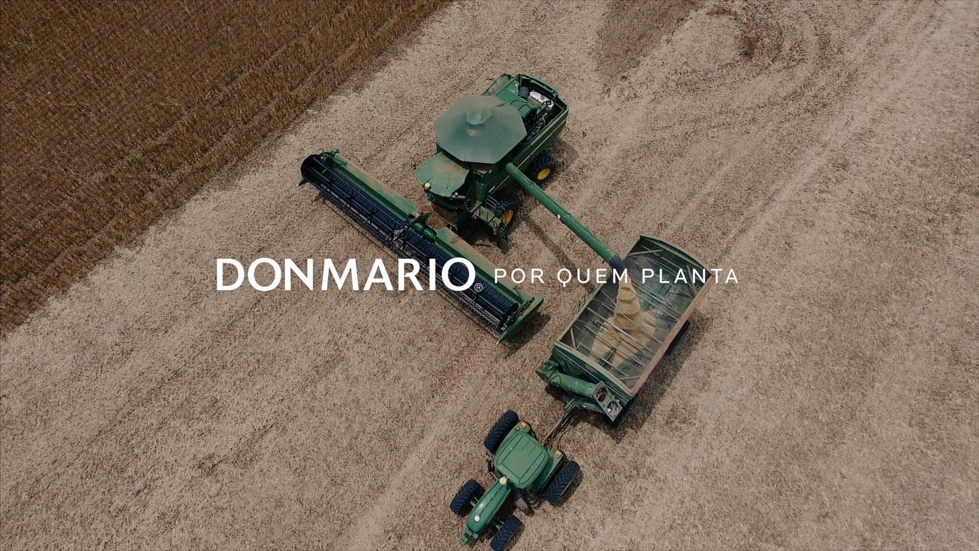 Produtor de Goiás destaca cultivar DONMARIO como a mais produtiva que já plantou