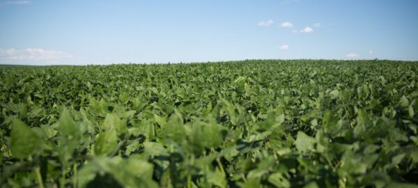 2a4a7100-scaled 2a4a7100-scaled