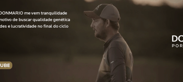 arte-blog-m4 arte-blog-m4