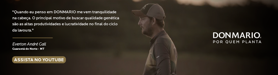 DM74K75RSF CE apresenta grande performance em lavoura de soja na M4