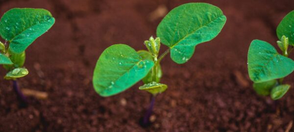 b7f496cf-1bf5-4db7-9277-6c4ace102f7b b7f496cf-1bf5-4db7-9277-6c4ace102f7b