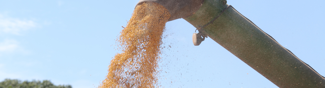 4 boas práticas para a sua melhor colheita na safra de soja