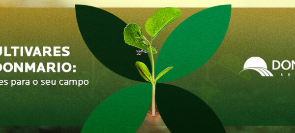 blogprelancamentocultivares_banner_1100x300 blogprelancamentocultivares_banner_1100x300