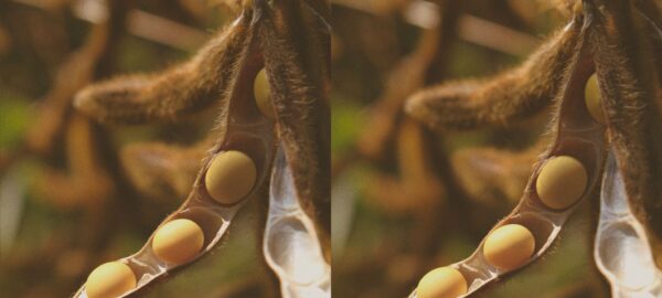 design-sem-nome design-sem-nome