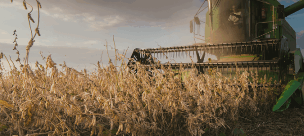 design-sem-nome design-sem-nome