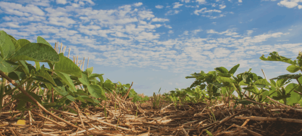 gettyimages-489040542 gettyimages-489040542