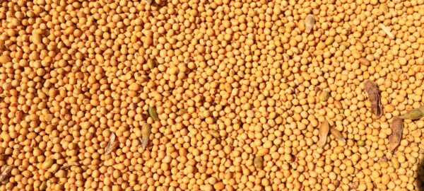 img_5699-scaled img_5699-scaled