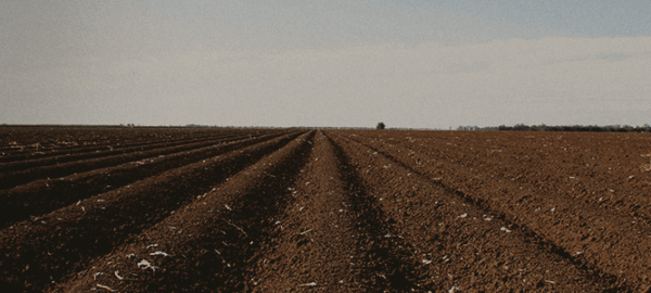 post_03_junho_manejo_capa_blog post_03_junho_manejo_capa_blog