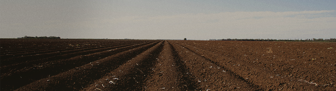 O que é o vazio sanitário e qual é o seu calendário em 2024?