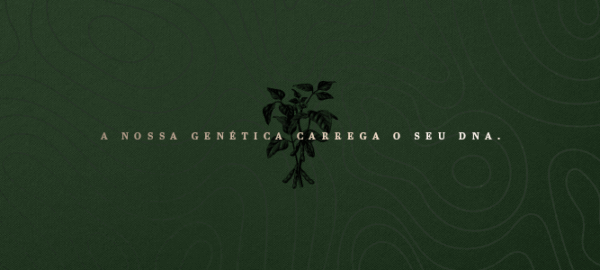 prancheta-1 prancheta-1