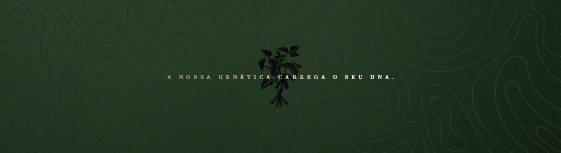 A nossa genética carrega o seu DNA: Conheça a Campanha DONMARIO 2025