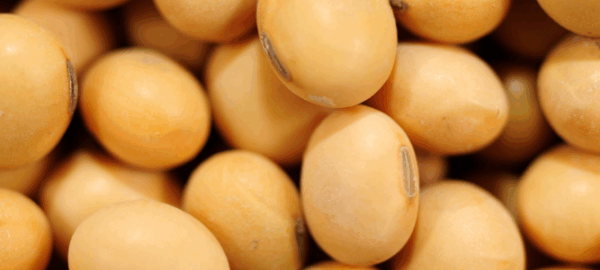 blog-donmario-13 blog-donmario-13