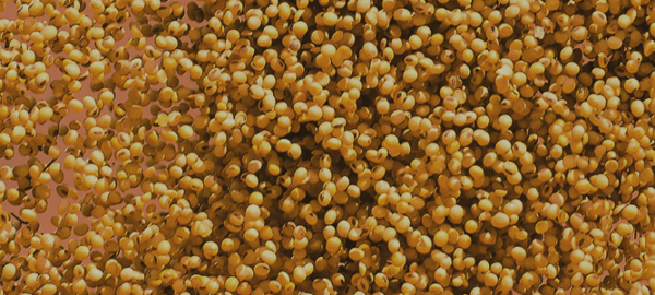 blog_02_capa_1100x300px