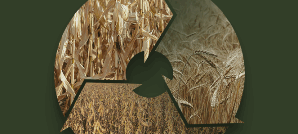 blog_1_1100x300px_semtexto