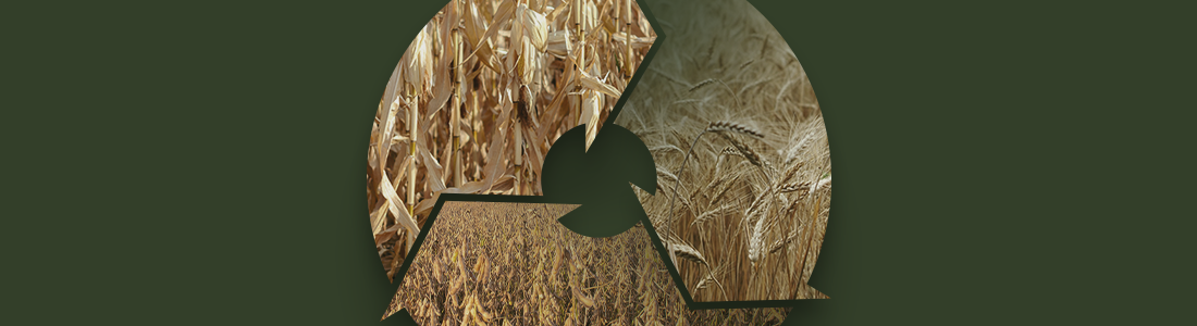 Rotação de Culturas: benefícios, desafios e estratégias para o sucesso da sua lavoura