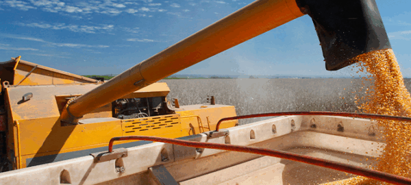 post-blog_institucional_1100x300 post-blog_institucional_1100x300