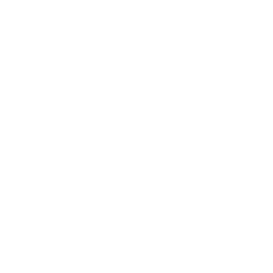 Logo Rsf Blanco