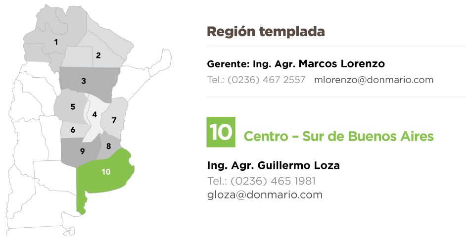 DM EQUIPO COMERCIAL 10a