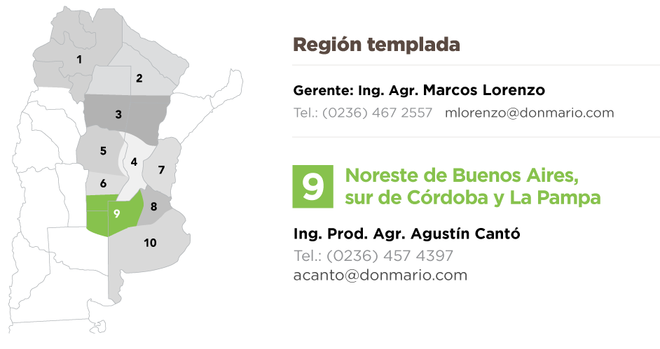DM EQUIPO COMERCIAL 9a