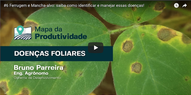 6 Ferrugem E Mancha Alvo Saiba Como Identificar, Evitar E Controlar Essas Doenças!