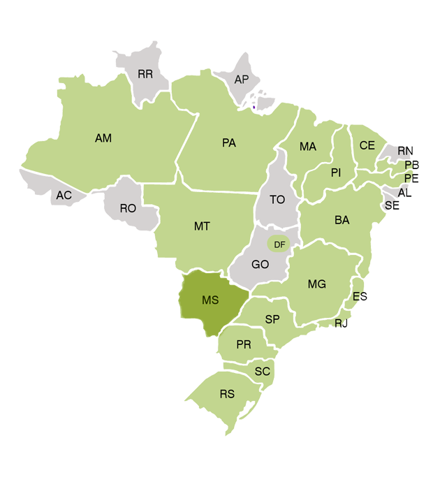 Mato Grosso Do Sul