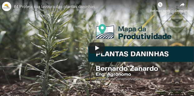 Plantas Daninhas